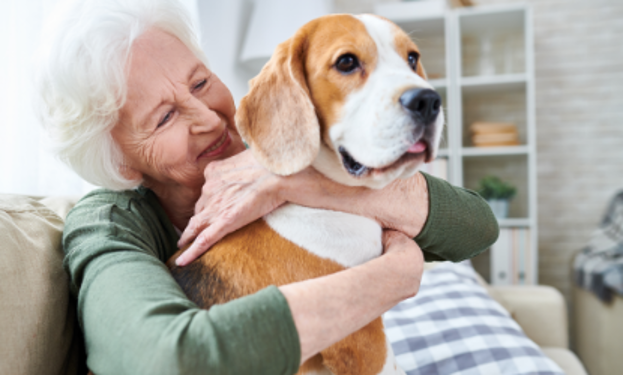 A lady resting with her dog.